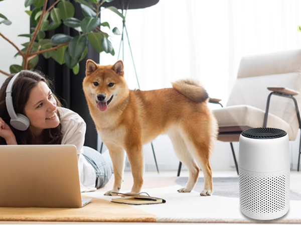 core mini filter help you be a pet owner at ease