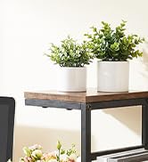 Desk Shelf Organizer