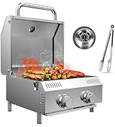 Llamaviva 2 Burners Tabletop Gas Grill, 20,000 BTUs Portable Stainless Steel Propane Grill with L...
