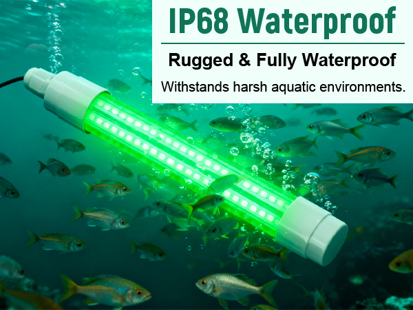 Underwater Fish Light