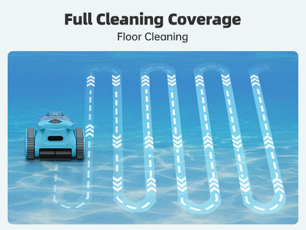 POOL VACUUM INGROUND