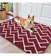 OLANLY Front Door Mat, Non-Slip Rubber Backing, Dirt Resistant and Absorbent, Washable, Easy to C...