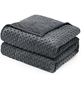 Wemore Minky Dot Weighted Blanket for Adults Queen Size 15 lb, Soft Heavy Blanket for Stress Reli...