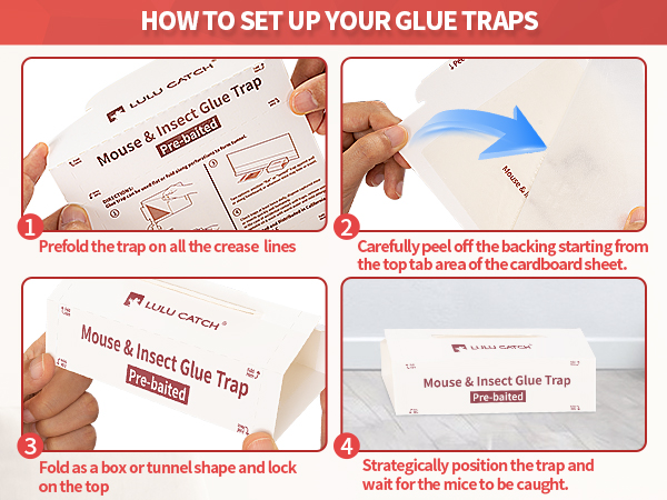 mouse traps indoor for home