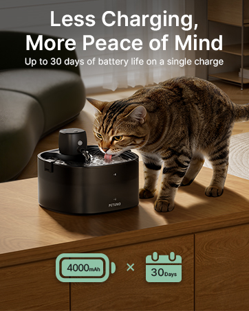 wireless cat water fountain