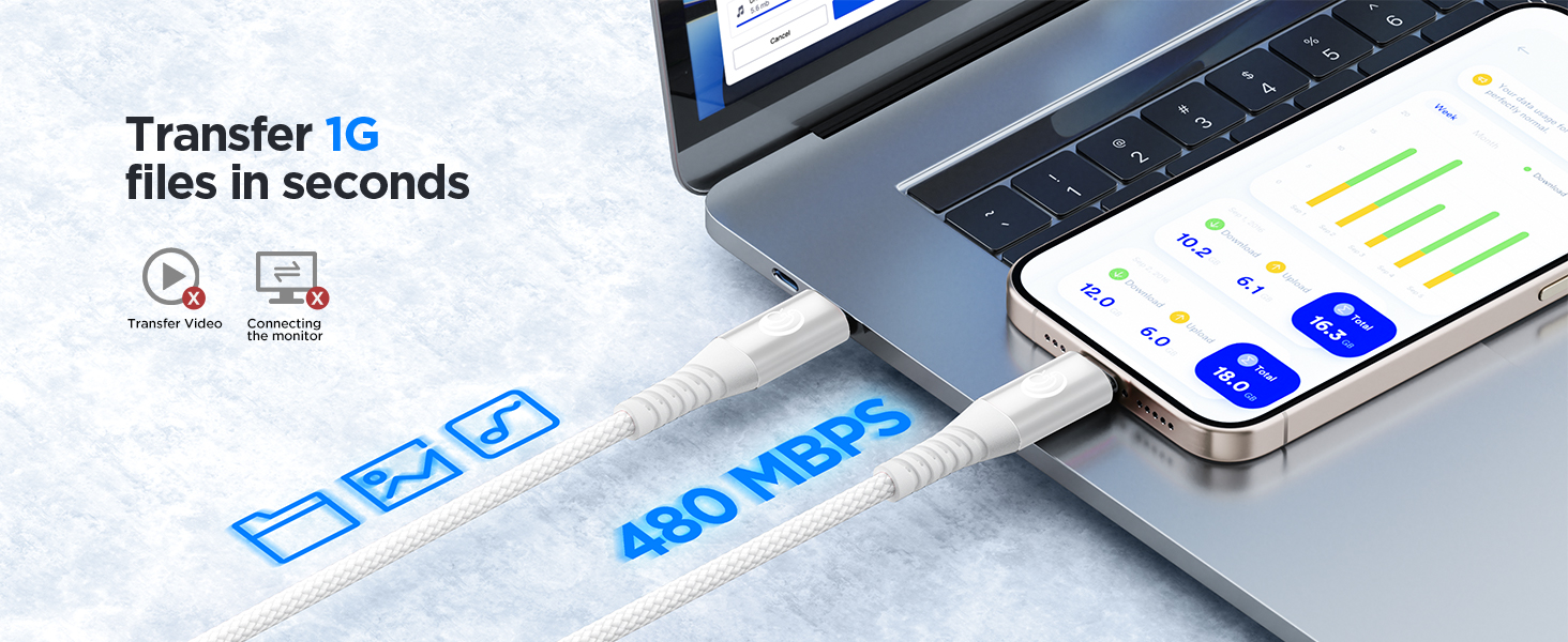 usb c to usb c cable 10ft