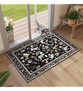 Rugcomf Door Mat Indoor Entrance 2x3 Rug Machine Washable Boho Floral Animal Cat Small Area Rug N...