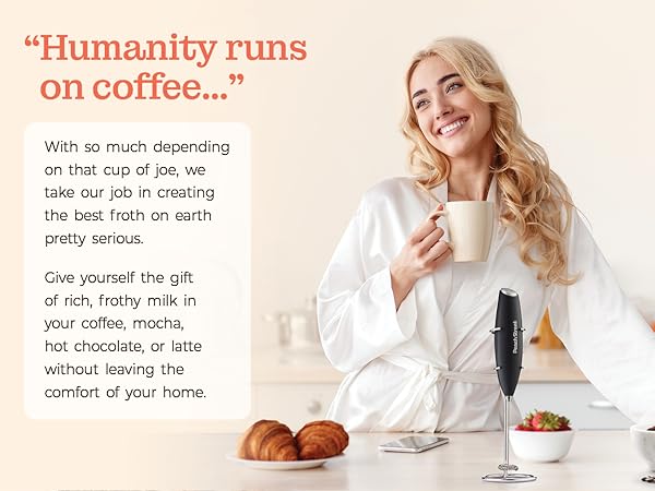 handheld milk frother