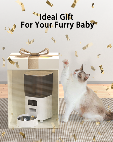 automatic cat feeder with camera