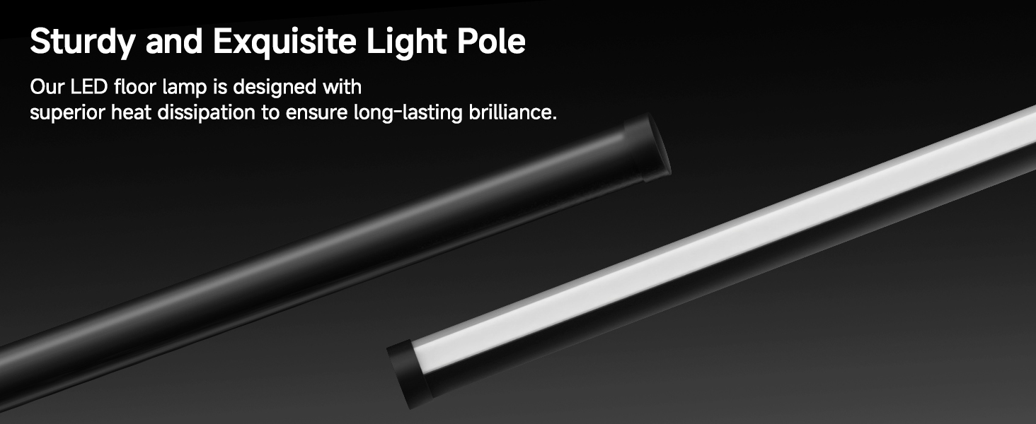 Sturdy and Exquisite Light Pole