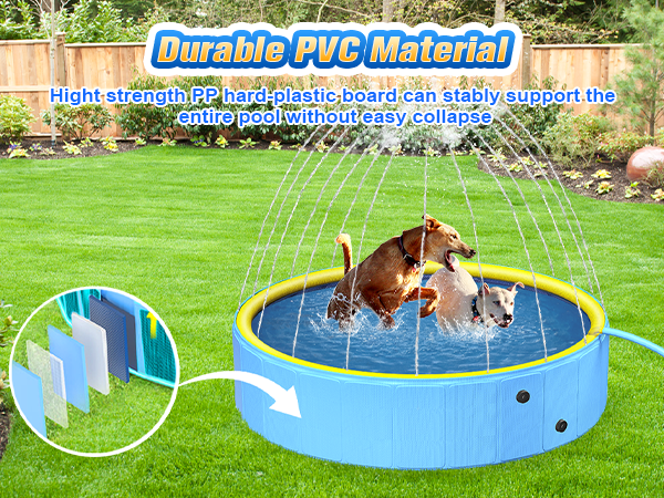 pet pool