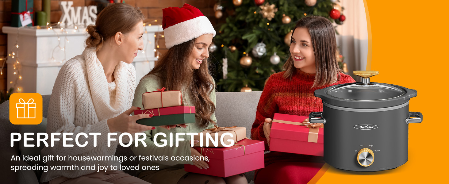 2 Quart Slow Cooker, Small Slow Cooker with Removable Ceramic Pot/mini electric food warmers