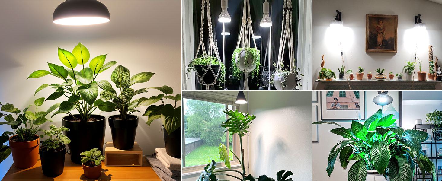 grow lights for indoor plants full spectrum