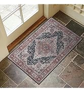 Collive Washable Indoor Doormat, Non Slip Retro Floor Mat 24