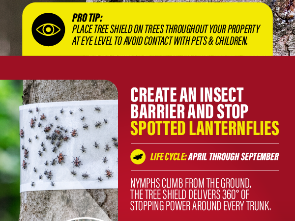 Pro tip graphic for placing Catchmaster tree shield at eye level to stop lanternflies
