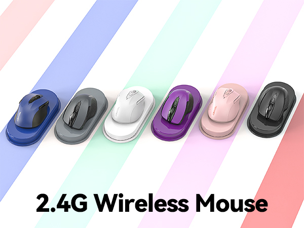 mouse