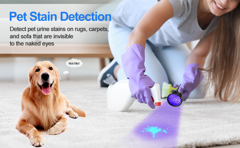 pet stain detection