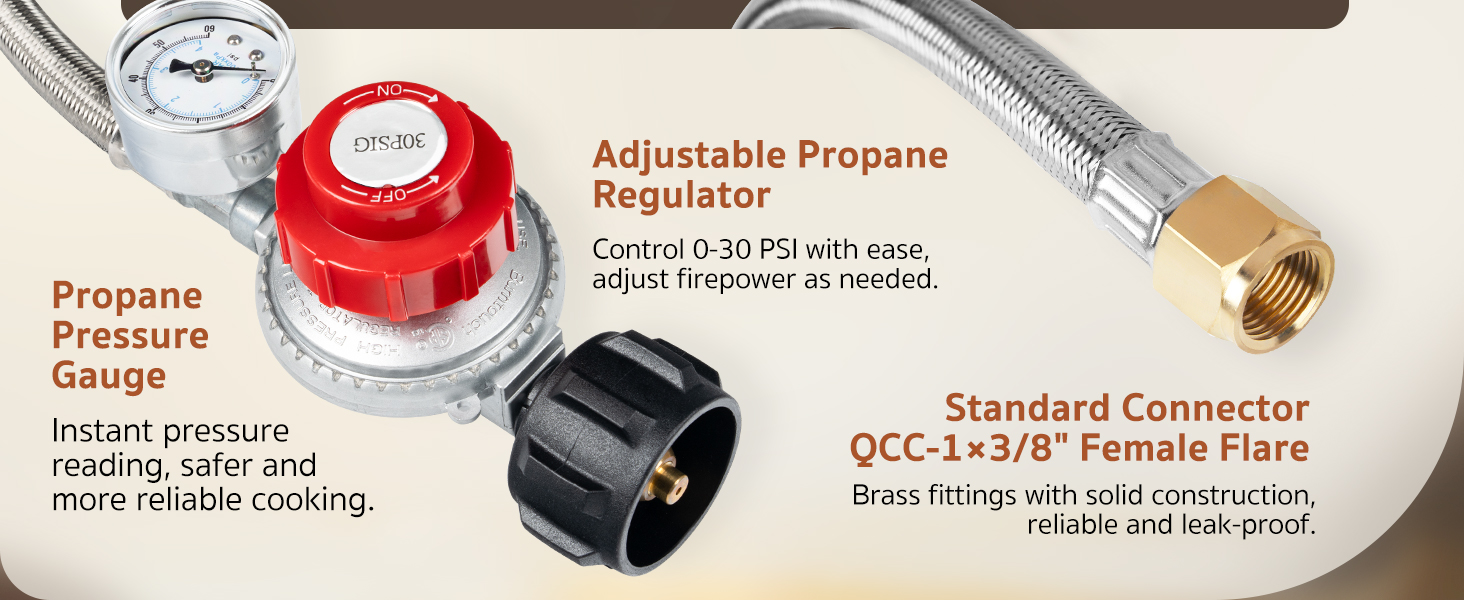 propane hose with regulator