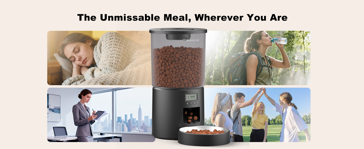 automatic cat food dispensertimed cat food dispenser