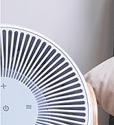Breez Smart Bedroom Fan