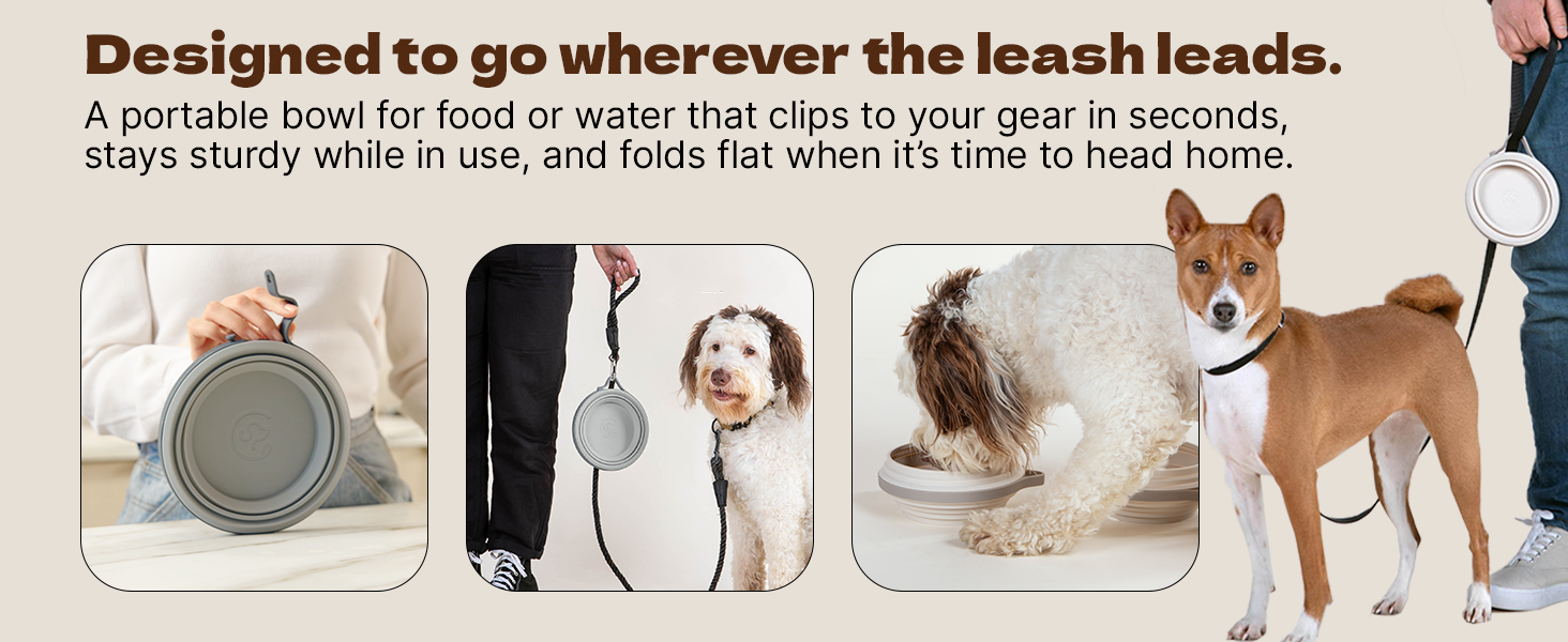 Designed to go wherever the leash leads