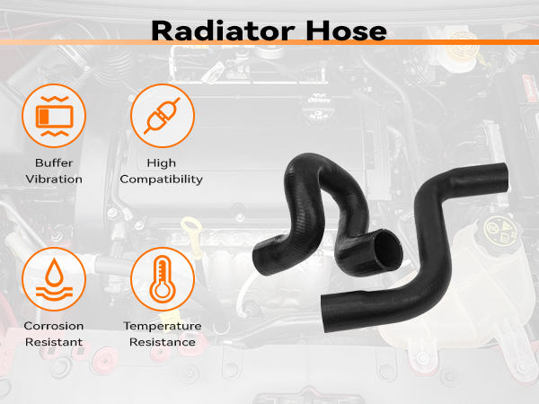 Radiator Outlet Hose