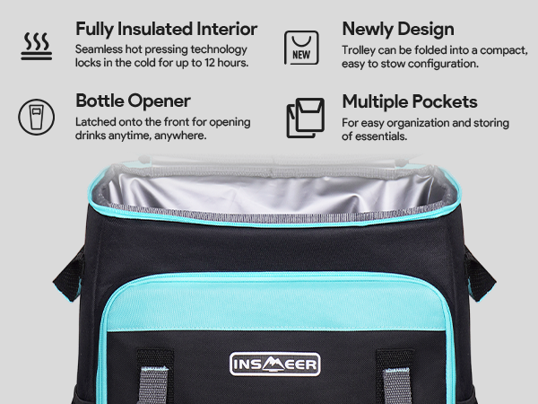insulated food delivery bag