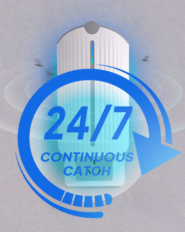 fruit fly traps for indoors