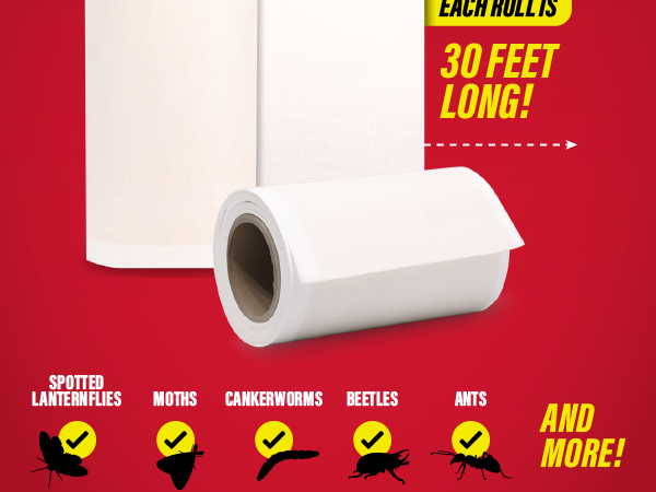 Catchmaster tree shield roll targets lanternflies, moths, cankerworms, beetles and ants
