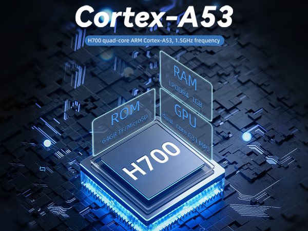 RG40XXH H700 GPU