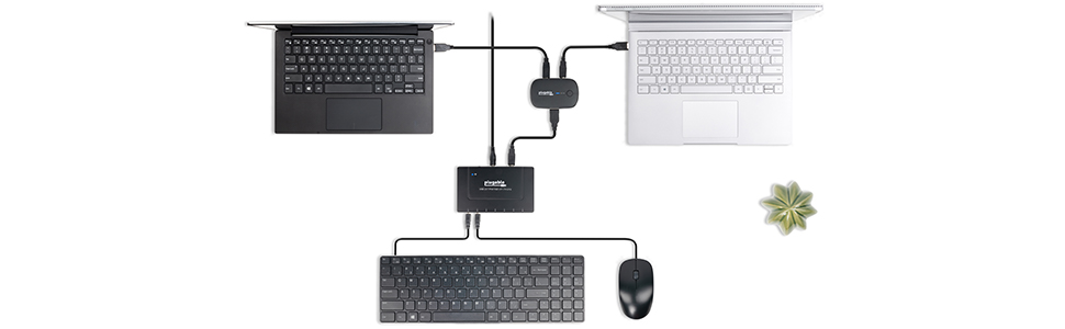 USB2-SWITCH2 connected to two laptops