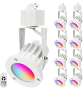 INTWELL 15W RGB LED Track Light Heads,Color Changing Track Lighting Head for Accent,Art,Party,Gam...