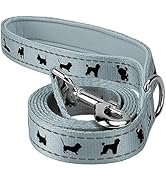 EcoBark Dog Leash - Soft &amp; Reflective Comfort Leash with Padded Handle - Strong Durable Heavy Dut...