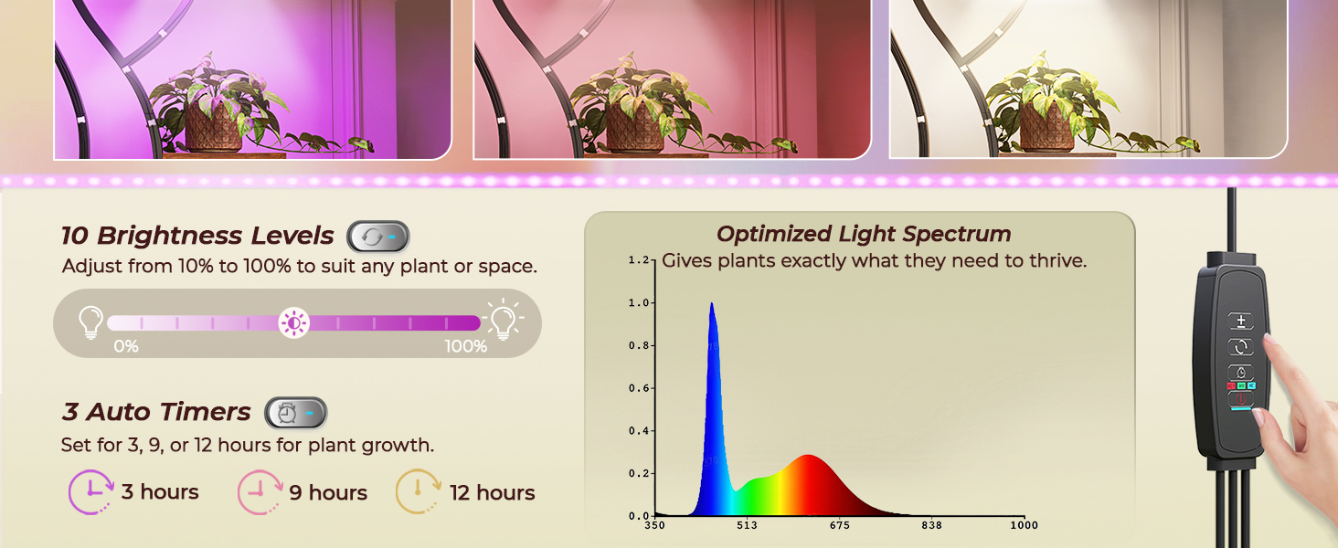 PLANT RACK