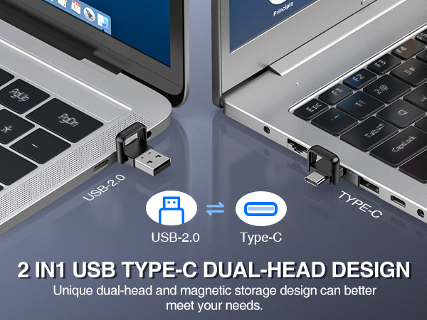 teacher pointer stick