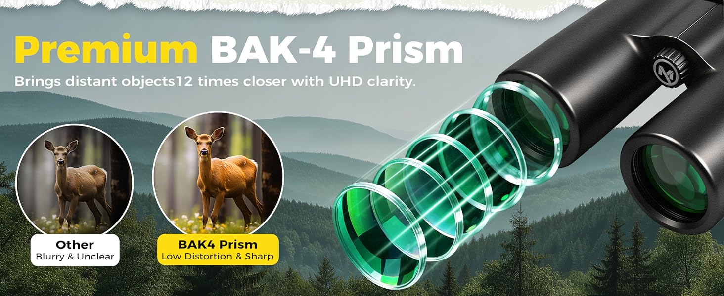 Essentials for Hunting Camping