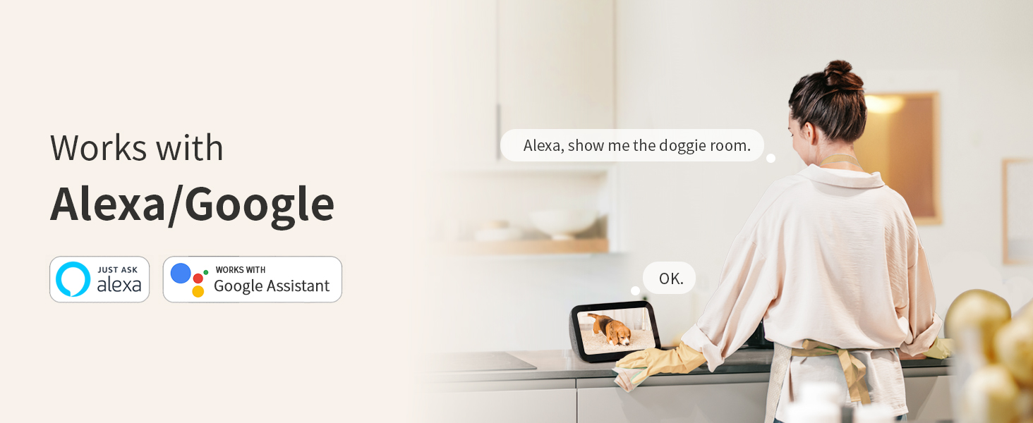 Support Alexa Google