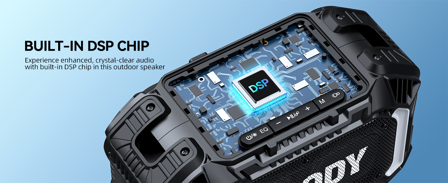 DSP CHIP