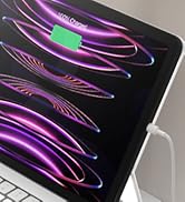 AC Pro Wall Chargers