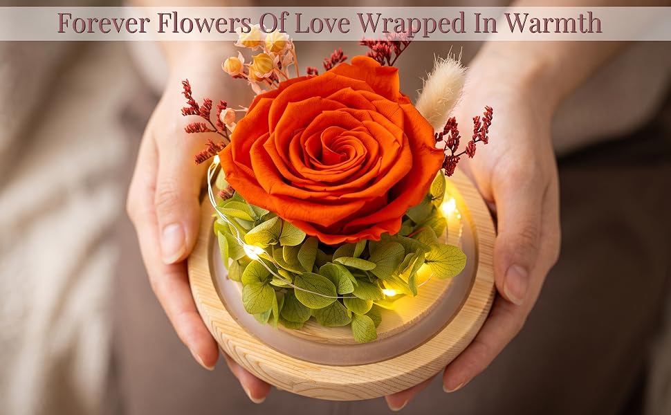 flowers roses