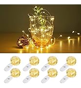 Lighting EVER Fairy Lights Battery Operated 20 LED Mini String Lights, Small Pixie Lights for Mas...