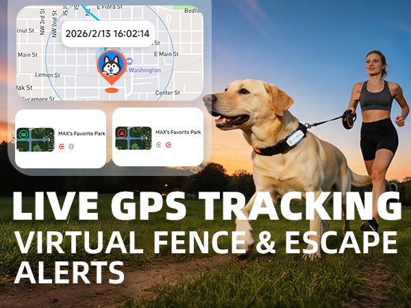 live gps tracker