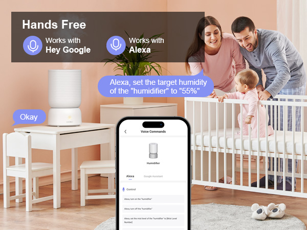 voice control humidifier work with Alexa and google assistant