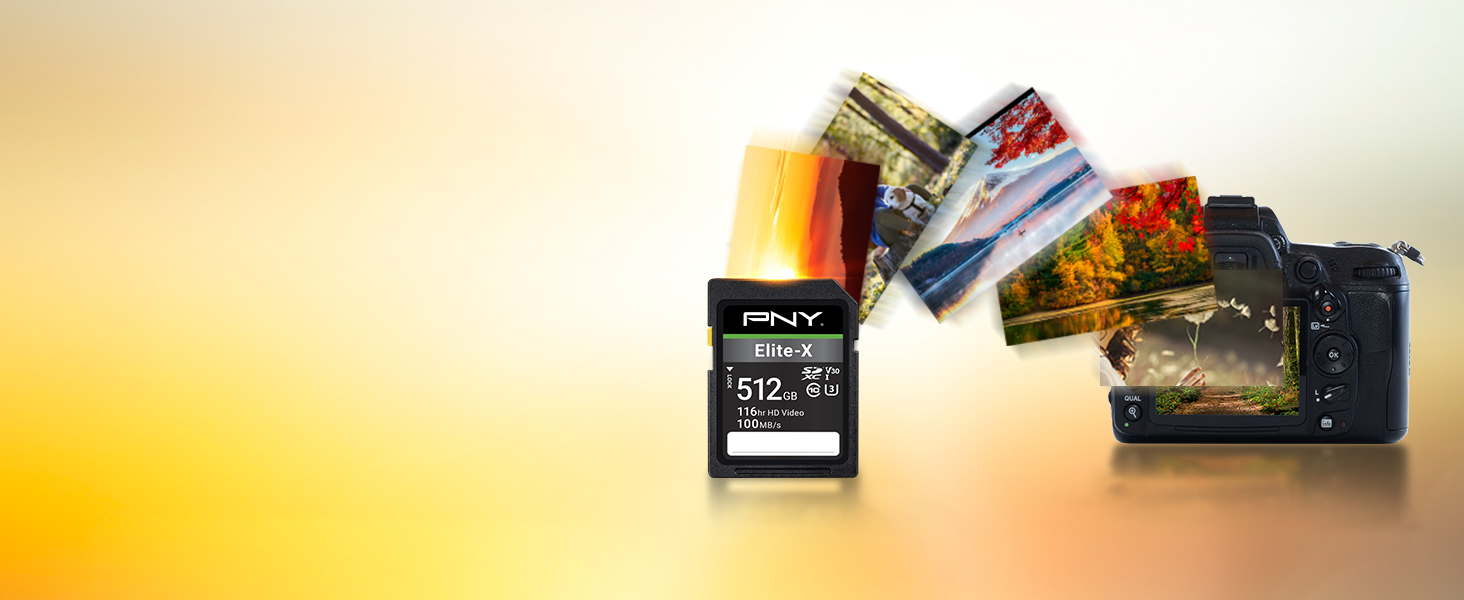 Elite-X Class 10 U3 V30 SD