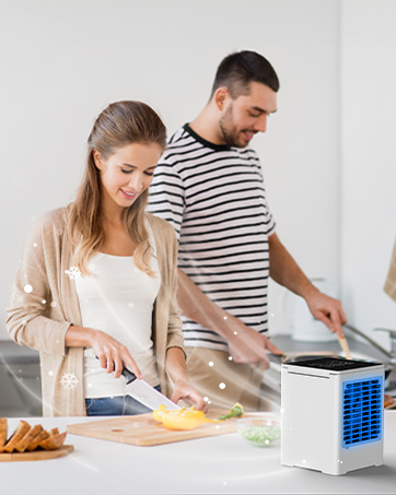 Portable Air Conditioners fan