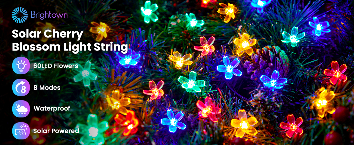 Solar String Lights for Outside