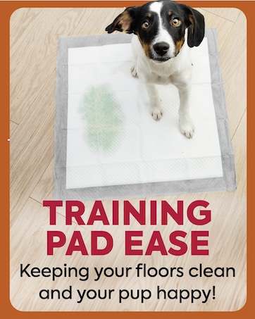 Out Petcare stain &amp;amp; odor products, dog diapers, training sprays, dog pads, dog wraps, cat cleaning