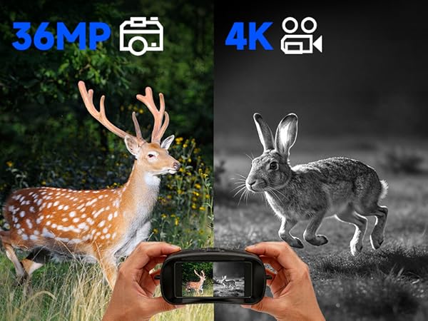 night vision binoculars