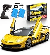 AEROQUEST Lamborghini Remote Control Car, Officially Licensed 1:14 Lambo RC Car for Boys Girls Bi...