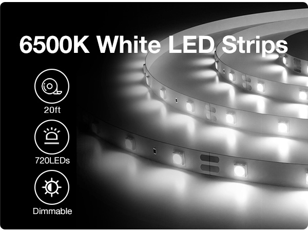 White LED light 20FT